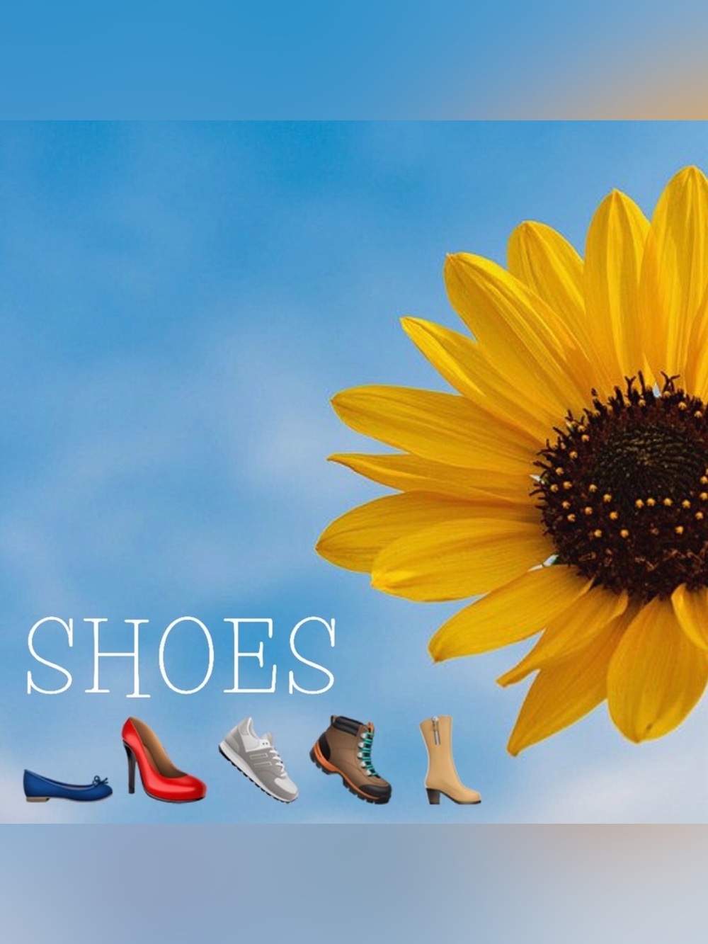 Shoes in Kimmee’s Closet